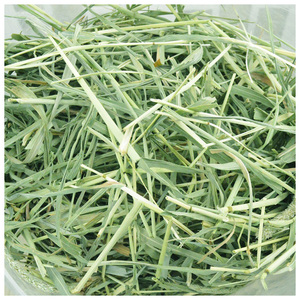Heno de Timothy para Alimentación Animal, Pellets de Alfalfa/Heno de Alfalfa en Pacas - Product Image 2