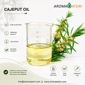 Aceite de Cajeput de Primera Calidad de Indonesia (Melaleuca cajuputi) - 100% Puro, Destilado al Vapor, Aroma Fresco - Product Image 1