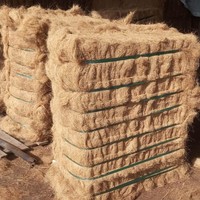 Fibre de coque de noix de coco de qualité supérieure à prix d'usine / Fibre de noix de coco séchée / Fibre de coco, agriculture biologique tendance et compétitive