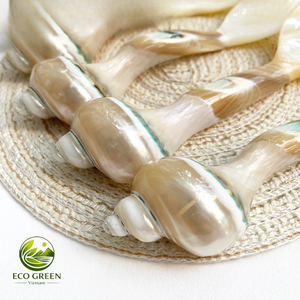 Artisan Mother of Pearl Coffee Spoon Handmade Natural <b>Shell</b> Tea Spoon Luxury Kitchen Utensils Home Gift Collection - Product Image 5