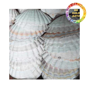 Conchas Decorativas de Doble Pared de Alta Calidad para Decoración de Bodas, Suministros de Joyería y Manualidades al por Mayor - Product Image 3