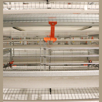 Cages à batterie automatiques de type H pour poules pondeuses, état neuf, avec système de convoyeur de collecte des œufs