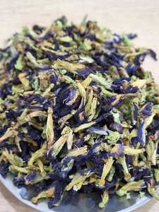 CLITORIA TERNATEA/BUNGA TELANG - Product Image 3