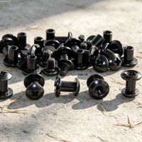 Kit de vis métalliques, vis à fente et vis à tête cruciforme, quincaillerie de fixation robuste pour le bricolage de couteaux tactiques en cuir Kydex personnalisés