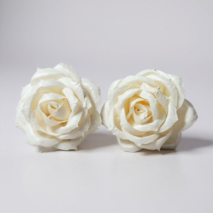 Flor de Sola de Madera de Marfil Elegante y Sostenible Hecha a Mano, 8.5 CM, con Varilla de Fibra Vegetal de Sesbania - Product Image 2