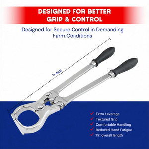 Herramientas de Alta Calidad para el Cuidado Animal, Juego de Instrumentos Veterinarios Profesionales de Acero Inoxidable para la Castración de Ganado - Product Image 5