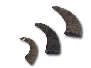 Bâton à mâcher pour chien en corne de buffle de haute qualité, style Angel, écologique, durable, interactif, fait main, couleur personnalisée, pour chiens et chats - Product Image 2