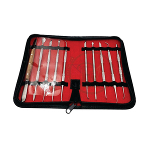 Kit de 10 Herramientas de Limpieza Dental Reutilizables de Acero Inoxidable de Alta Calidad de ROBOZ TECH - Product Image 1