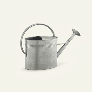 Arrosoir en métal galvanisé durable pour plantes d'intérieur et d'extérieur, design vintage antique, pot à eau en fer avec long bec verseur - Product Image 2