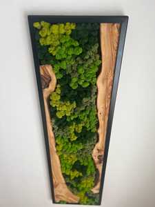 Mosaico de pared de madera Wildwood, arte de musgo Nature Nexus, decoración de pared de madera rústica con follaje, arte colgante con marco rectangular - Product Image 6