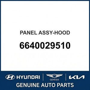 แผงฝากระโปรงหน้ารถ Elantra รุ่นใหม่ 6640029510 - Product Image 1