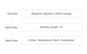 Deodorant Body Spray 60ml Daily Odor Care Musk Scent Cedar Taylor - Product Image 2