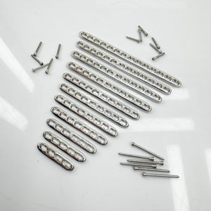 RAICES ENTERPRISES Placas de Compresión con Bloqueo de 2.0, 2.4, 2.7 y 3.5 mm, Placa de Implante Veterinario Recta de Acero Inoxidable, Certificación CE - Product Image 1