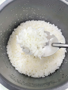 #1 Koshihikari Rice - Premium short <b>grain</b> round rice - Japonica rice - Sushi rice - WS +84968974137 Oil polished Rice - Japoriz - Product Image 4