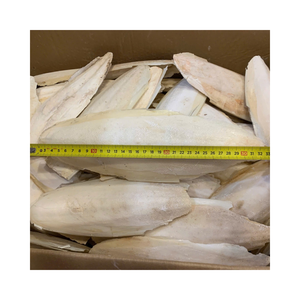 Os de seiche en gros pour fournitures d'aviaries, éleveurs d'oiseaux et magasins d'animaux - Product Image 2