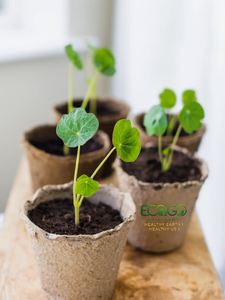 Macetas de Fibra de Coco Natural – Macetas Transpirables y Biodegradables para Plántulas, Plantas de Vivero y Jardinería Eco2go Vietnam - Product Image 2