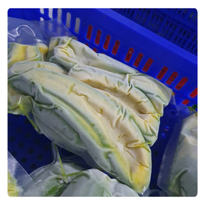 AGUACATE CONGELADO DIRECTO DE FÁBRICA DE VIETNAM, VENTA AL POR MAYOR, MEJOR PRECIO - Product Image 6