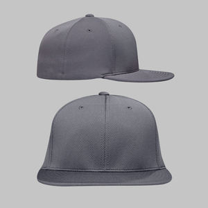 Chapeau Diy Publicité Équipe Impression Logo Voyage Travail Casquette de Baseball Brosse Personnalisée Broderie Hip Hop Bord Plat - Product Image 1