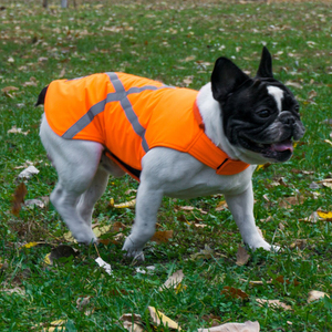 Gilet de sécurité réfléchissant haute visibilité pour chien, imperméable, orange, pour chiens de petite, moyenne et grande taille, vente en gros OEM - Product Image 5