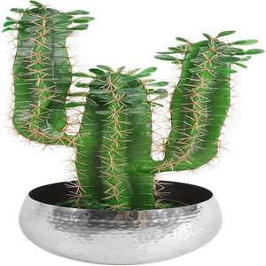 กระถางโลหะสีเงินแบบตอกลายขอบตรง กระถางต้นไม้ในร่มทรงกลม - Product Image 2