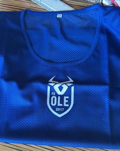 Camiseta de entrenamiento de fútbol de malla para adultos, chaleco de práctica de fútbol de secado rápido, ropa de equipo con logotipo personalizado, serigrafiado, para todas las estaciones, manga corta - Product Image 4