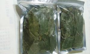 Feuilles de Graviola Séchées Gourmet pour Marques de Thé Spécialisées – Corossol Déshydraté Premium Origine Vietnam en Vrac - Product Image 4