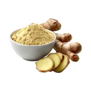 Premium Organic Vietnamese <b>Ginger</b> Powder (100% <b>Ginger</b>) Bulk Packaging Available for Importers Wholesalers and Distributors - Product Image 3