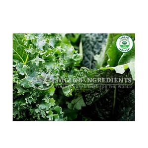 Poudre de chou frisé riche en nutriments, superaliment vert, riche en vitamines, minéraux, antioxydants et nutriments végétaux pour l'énergie - Product Image 3