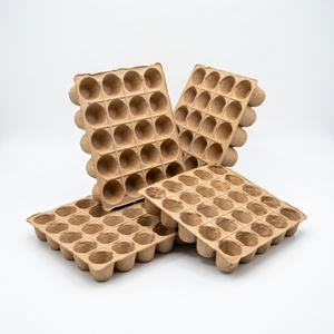 Fruit Packaging Eco-Friendly Anti Break Compostable Molded Pulp Tray Fresh Fruit Tray From Vietnam Manufacturer Paper <b>Boxes</b> - Product Image 3