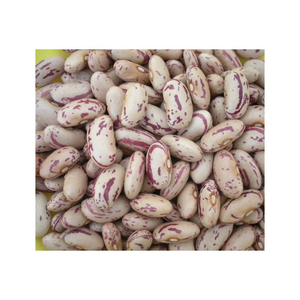 Aliments Sains 100% Haricots Rouges Séchés Longs et Ronds, Haricots Pinto, Haricots Kidney, Haricots Légers et Mouchetés, Exportateurs, Prix Compétitifs - Product Image 3