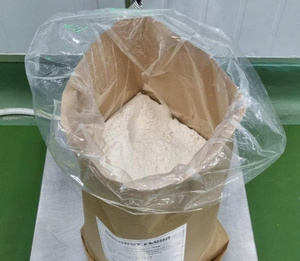 Poudre de lait de coco séchée par pulvérisation de haute qualité, poudre de crème de coco du Vietnam, approvisionnement en vrac pour usines, marché d'exportation - Product Image 1