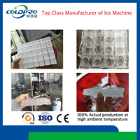 Machine à glace industrielle en cubes 10T 20T 30T 40T 50T 60T en SUS304 pour la logistique de la chaîne du froid au Mexique – Production de glace stable