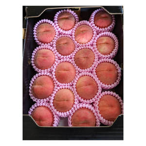 Duraznos Frescos de Calidad Fantástica a Precios de Fábrica, Jugosos, Dulces, Aromáticos y con un Sabor Exótico - Product Image 1