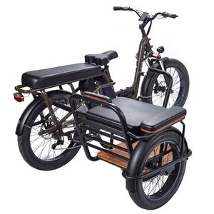 RaiderTrike-C201 48v <span class=keywords><strong>750w</strong></span> gros pneu Tricycle électrique Cargo vélo électrique latéral 3 roues électriques vélos pour tous les styles de vie - Product Image 2
