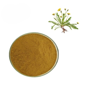Poudre de racine de pissenlit 100 % pure et naturelle OEM, poudre de pissenlit de qualité supérieure pour smoothies, thés et boissons aux herbes pour hommes et femmes - Product Image 1