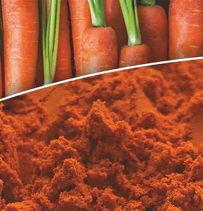 Poudre de Béta-Carotène Sauvage (Qualité Alimentaire Santé) - Extrait Nutritionnel de Caroténoïde Liposoluble d'Origine Végétale Orange Vibrant - Product Image 4