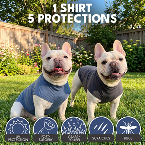 Camiseta Moderna para Perro, de Algodón Ligero, Estampada, Suave, Transpirable, Veraniega, Linda, para Uso Diario, de Alta Calidad, Personalizable - Product Image 2
