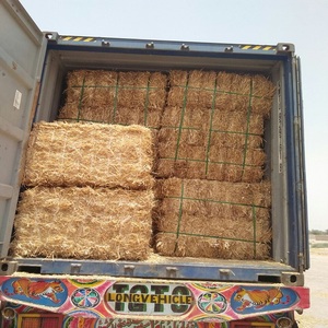 Pacas Comprimidas de Paja de Trigo Limpia de Alta Calidad y Ecológicas, Alimento a Granel para Ganado Vacuno y Camellos - Product Image 3