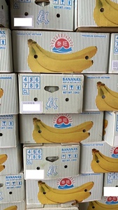 Plátano fresco CAVENISH, suministro durante todo el año de Vietnam, exportador de fruta de buena reputación al por mayor de Oriente Medio, Japón, Corea WA0084786436556 - Product Image 4