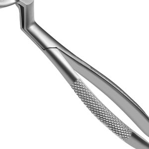 Pinzas Dentales Roturier de Patrón Americano para Molares Inferiores y Dientes del Sabiduría, Izquierda, que Ofrecen Precisión y Agarre Fuerte, Quirúrgicas - Product Image 5