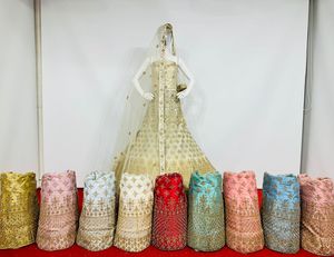 Zarna 16 Kali Net Lehenga Señoras Boda nupcial paquistaní Lehenga Full Jarkan Stone Mirror Shisha Heavy Glitter Can-Can Big - Product Image 5