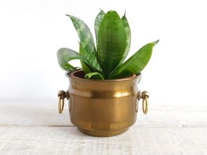 Jardinière en métal style industriel pour la décoration du jardin, du patio et du balcon, avec une structure soudée robuste et un revêtement lisse. - Product Image 3