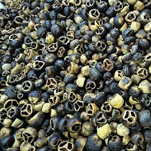 Vaina de Talami Ecológica, Seca, de Diferentes Tamaños, Proveniente de la India, para Decoración de Potpourri - Product Image 5