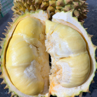 Verse Thaise Durian Export Premium Kwaliteit Groothandel Zuid-Korea VS Thailand Wereldwijd Monthong Romige 500g 14 Dagen Houdbaarheid