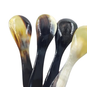 ช้อนช้อนช้อนมินิฮอร์นขนาดเล็กทำด้วยมือหรูหราทันสมัยเป็นมิตรกับสิ่งแวดล้อมอาหารปลอดภัยงานปาร์ตี้ดีไซน์สุดโปรดมีดเครื่องปรุงรสน้ำตาล - Product Image 1