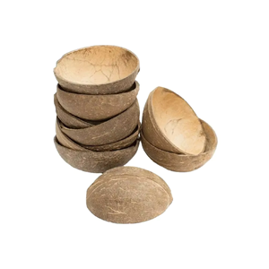 Demi-coquilles de noix de coco naturelles écologiques pour charbon actif, artisanat, vente en gros - Product Image 1