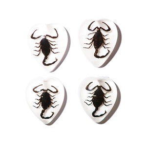 Scorpion noir, spécimen réel, cabochon en plastique, cœur 17x21 mm, fond plat blanc, pour artisanat et fabrication de bijoux - Product Image 5