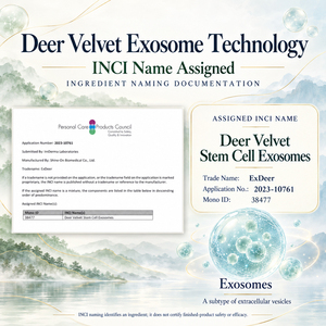 2026 Renxo Exosomes <b>Scalp</b> Reboot Professional Antler Serum Hair-Loss Prevention Normal Hair Repair Kit 8ml - Product Image 5