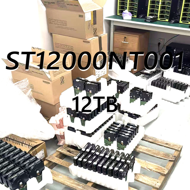 ST12000NT001 Hard Drive 12TB HDD SATA 7200RPM 256MB Enterprise Computer Accessories CCTV NAS CMR Server Desktop Laptop
