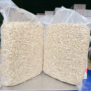 Noix de Cajou en Gros à Faible MOQ – Grains de Cajou SANTIGO à Prix Raisonnable - Product Image 6